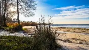 Późno jesienne jezioro Śniardwy i Okartowo 2020 r. - zdjęcie 15