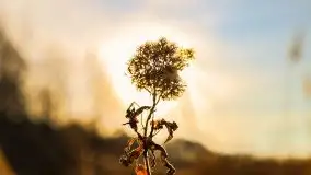 Późno jesienne jezioro Śniardwy i Okartowo 2020 r. - zdjęcie 7