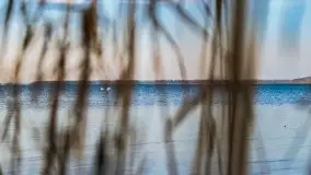 Późno jesienne jezioro Śniardwy i Okartowo 2020 r. - zdjęcie 8