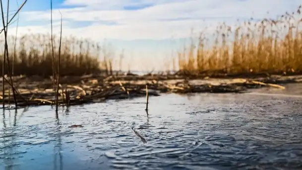 Późno jesienne jezioro Śniardwy i Okartowo 2020 r. - zdjęcie 2