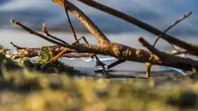 Późno jesienne jezioro Śniardwy i Okartowo 2020 r. - zdjęcie 23