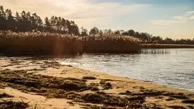 Późno jesienne jezioro Śniardwy i Okartowo 2020 r. - zdjęcie 26