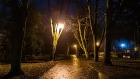 Nocne i mocno świąteczne Węgorzewo, grudzień 2020 r. - zdjęcie 33