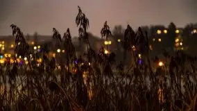 Nocny i świąteczny Kętrzyn, grudzień 2020 r. - zdjęcie 46