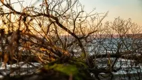 Wschód słońca nad jeziorem Gołdopiwo - zdjęcie 45