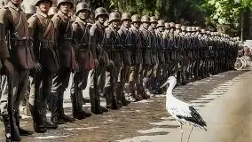 Przedwojenne pokolorowane zdjęcia Węgorzewa (Angerburg) - zdjęcie 73