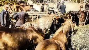 Przedwojenne pokolorowane zdjęcia Węgorzewa (Angerburg) - zdjęcie 72