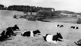 Przedwojenne zdjęcia Pasymia (Passenheim) - zdjęcie 14