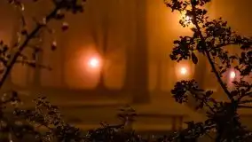 Mglista noc Sylwestrowa w Giżycku - zdjęcie 15