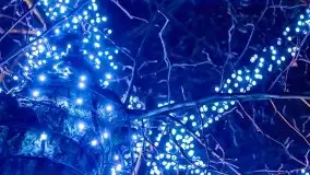 Mglista noc Sylwestrowa w Giżycku - zdjęcie 6