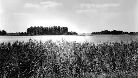 Przedwojenne zdjęcia Wydmin (Wydminnen) - zdjęcie 28