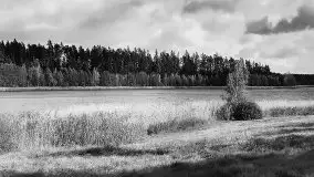 Przedwojenne zdjęcia Wydmin (Wydminnen) - zdjęcie 13