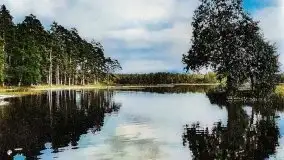 Przedwojenne i pokolorowane zdjęcia Rucianego Nidy (Rudczanny, Niedersee) - zdjęcie 13