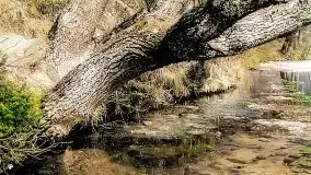 Przedwojenne i pokolorowane zdjęcia Rucianego Nidy (Rudczanny, Niedersee) - zdjęcie 53