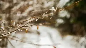 Zimowa szarówka w okolicach Kruklina, Gawlika Małego i Wydmin - zdjęcie 5