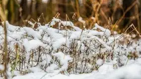 Zimowa szarówka w okolicach Kruklina, Gawlika Małego i Wydmin - zdjęcie 37