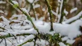 Zimowa szarówka w okolicach Kruklina, Gawlika Małego i Wydmin - zdjęcie 20