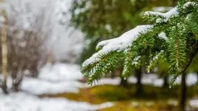 Zimowa szarówka w okolicach Kruklina, Gawlika Małego i Wydmin - zdjęcie 48