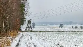 Zimowa szarówka w okolicach Kruklina, Gawlika Małego i Wydmin - zdjęcie 55