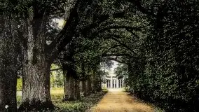 Przedwojenne pokolorowane zdjęcia Sztynortu (Steinort) - zdjęcie 12