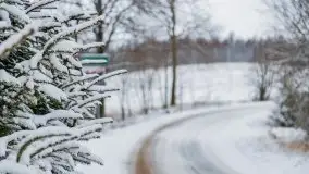 Posypało na Mazurach - zobacz okolice wsi Gajrowskie i Orłowo - zdjęcie 11