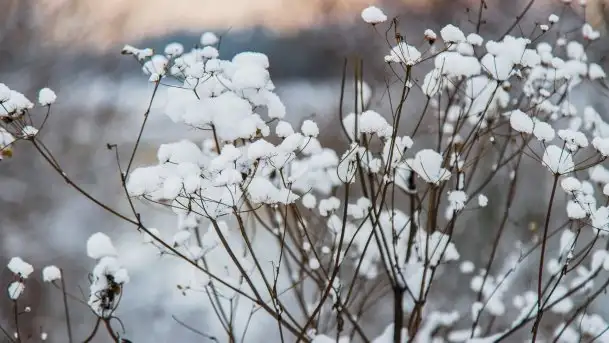 Posypało na Mazurach - zobacz okolice wsi Gajrowskie i Orłowo - zdjęcie 5