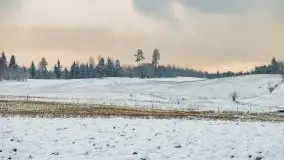 Posypało na Mazurach - zobacz okolice wsi Gajrowskie i Orłowo - zdjęcie 17