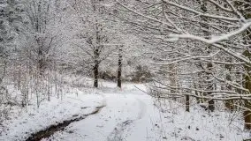 Posypało na Mazurach - zobacz okolice wsi Gajrowskie i Orłowo - zdjęcie 49