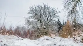 Posypało na Mazurach - zobacz okolice wsi Gajrowskie i Orłowo - zdjęcie 51