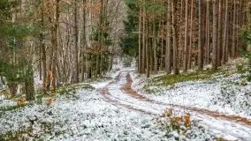 Zima nad jeziorem Wesołek, okolice Rucianej Nidy - zdjęcie 7