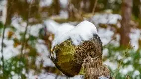 Zima nad jeziorem Wesołek, okolice Rucianej Nidy - zdjęcie 33