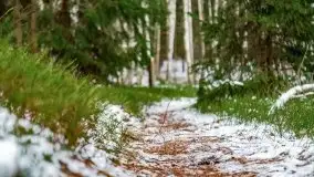 Zima nad jeziorem Wesołek, okolice Rucianej Nidy - zdjęcie 17