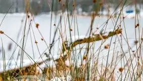 Zima nad jeziorem Wesołek, okolice Rucianej Nidy - zdjęcie 12