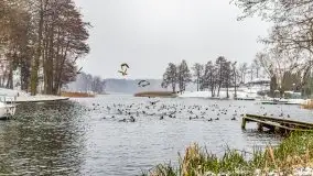 Zimowa szarówka w Rucianem-Nidzie - zdjęcie 4