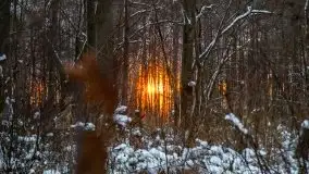 Zimowy zachód słońca między jeziorem Dargin i Sztynorckie - zdjęcie 12