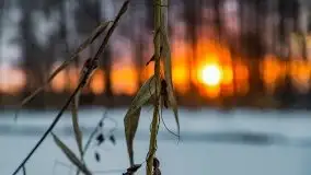 Zimowy zachód słońca między jeziorem Dargin i Sztynorckie - zdjęcie 14