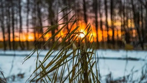 Zimowy zachód słońca między jeziorem Dargin i Sztynorckie - zdjęcie 8