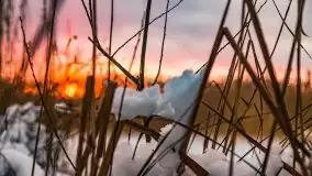 Zimowy zachód słońca między jeziorem Dargin i Sztynorckie - zdjęcie 23