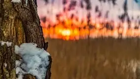 Zimowy zachód słońca między jeziorem Dargin i Sztynorckie - zdjęcie 37