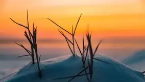 Zimowy wschód słońca nad jeziorem Dargin i... -27 stopni - zdjęcie 12