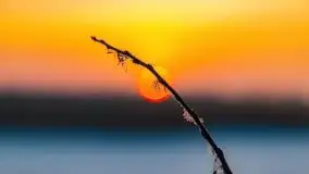 Zimowy wschód słońca nad jeziorem Dargin i... -27 stopni - zdjęcie 72