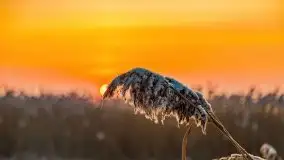 Zimowy wschód słońca nad jeziorem Dargin i... -27 stopni - zdjęcie 76