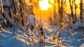 Zimowy wschód słońca nad jeziorem Dargin i... -27 stopni - zdjęcie 97