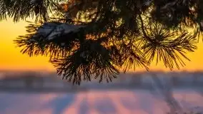 Zachód słońca nad jeziorem Święcajty, Cmentarz wojenny Jagerhohe - zdjęcie 9