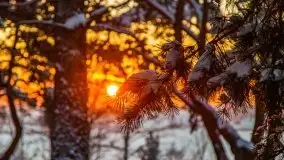 Zachód słońca nad jeziorem Święcajty, Cmentarz wojenny Jagerhohe - zdjęcie 55