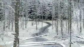 Mazurskie zwierzęta i pełnia zimy na zdjęciach Jana Olchówki - zdjęcie 28