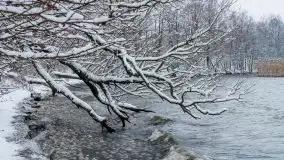 Mazurskie zwierzęta i pełnia zimy na zdjęciach Jana Olchówki - zdjęcie 20