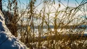 Zimowy Dargin i port Nowy Harsz - zdjęcie 58