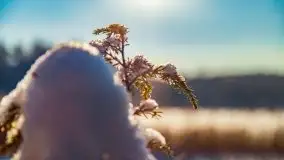 Stanica Wodna Stranda w zimowej scenerii - zdjęcie 50