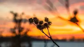 Wschód słońca w okolicach Sztynortu, zima 2021 - zdjęcie 18